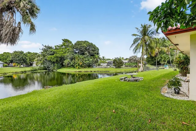 a view of a lake with a yard and a palm tree