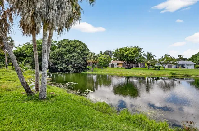 a view of a lake with a yard and palm trees