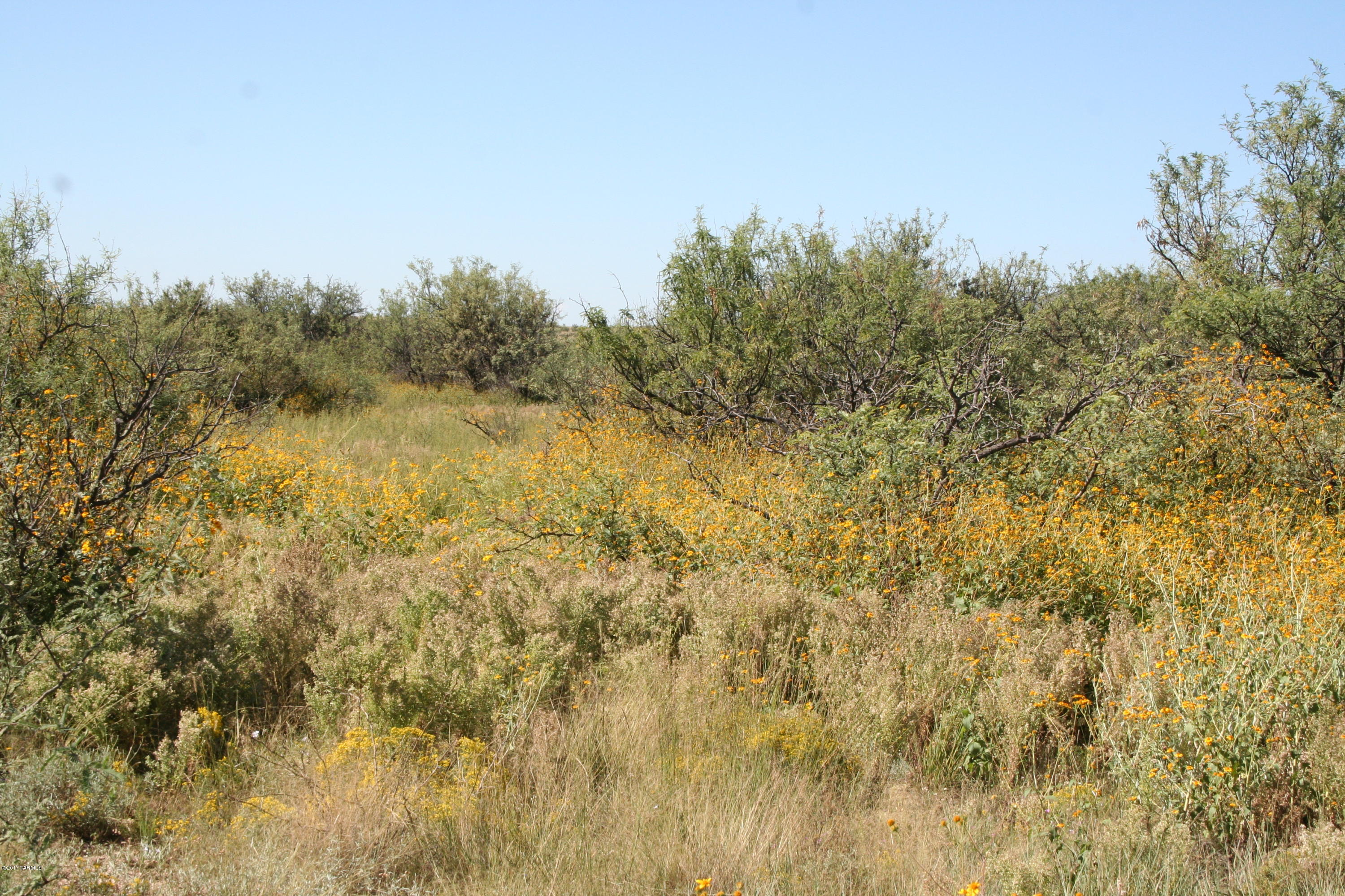 Tbd Victorio Road Dragoon, AZ 85609 - Photo 22 of 29