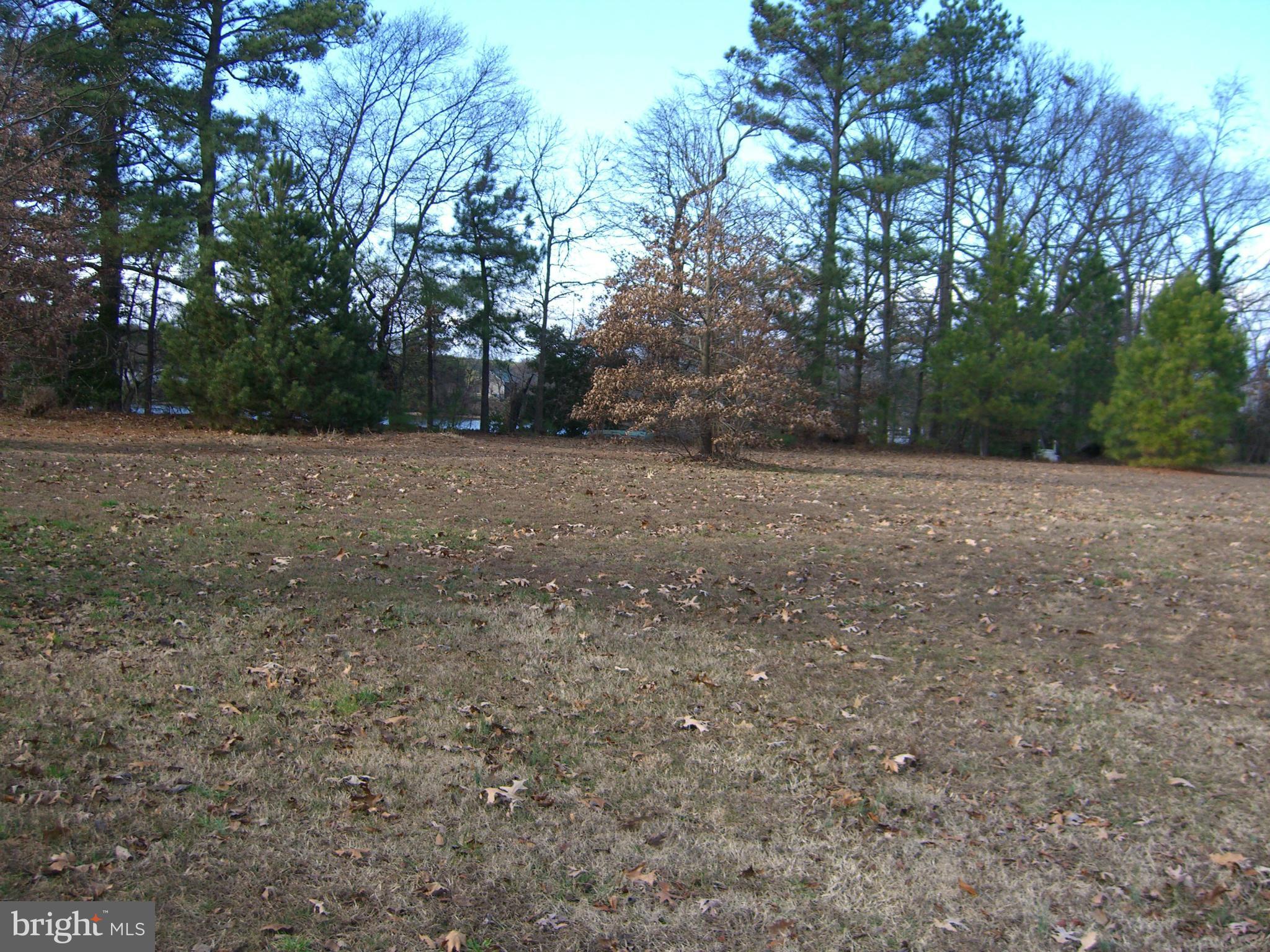 49857 Gray Goose Lane Ridge, MD 20680 - Photo 1 of 3 Exterior (General)