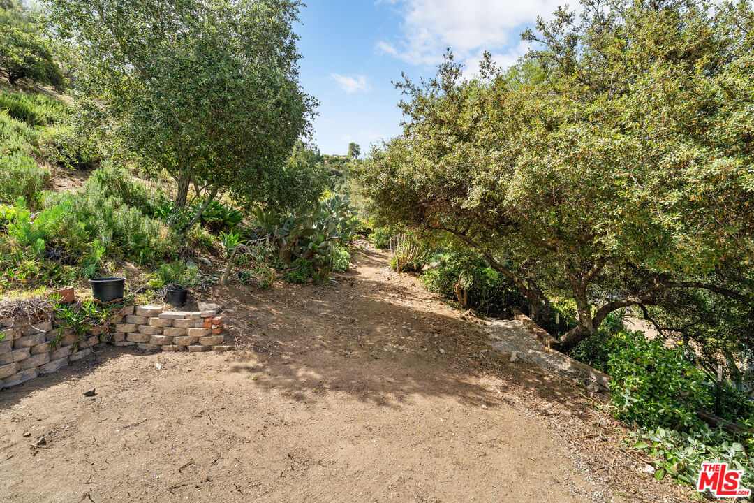 9738 Commerce Avenue Tujunga, CA 91042 - Photo 14 of 17 a view of a forest with trees