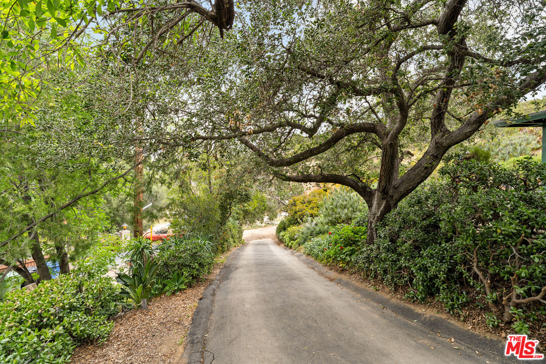 9738 Commerce Avenue Tujunga, CA 91042 - Photo 17 of 17 a view of a yard with plants and trees
