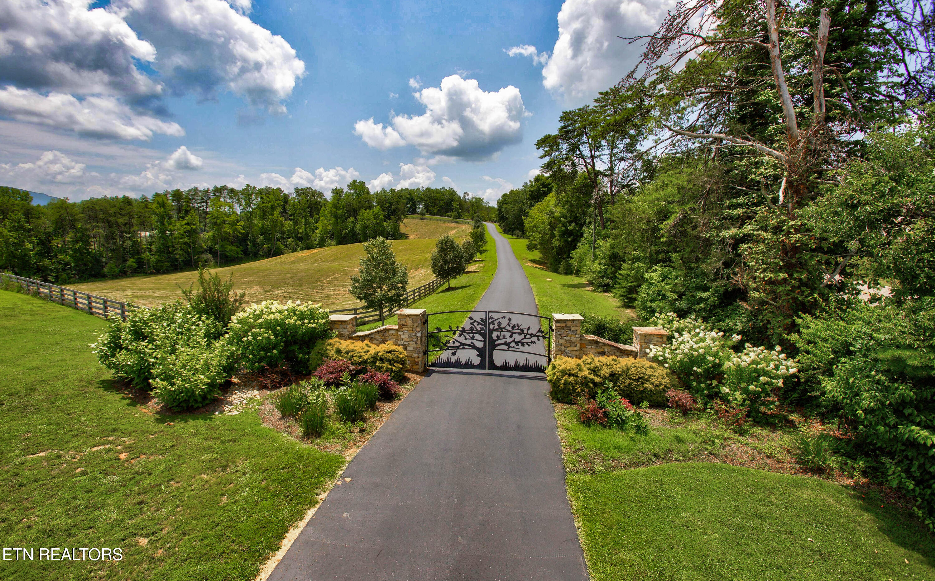 4506 6 Mile Road Maryville, TN 37803 - Photo 59 of 59 IMG_9762