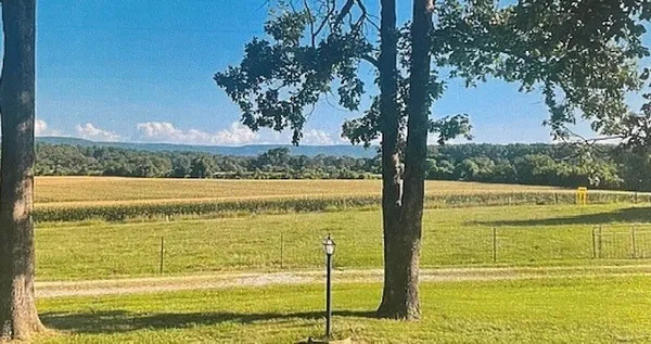 a view of a swimming pool with an ocean view