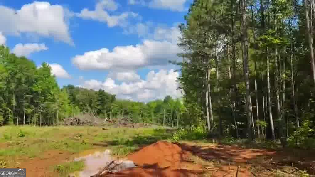 125 Little Road Northwest Milledgeville, GA 31061 - Photo 4 of 5 a view of a yard with a tree