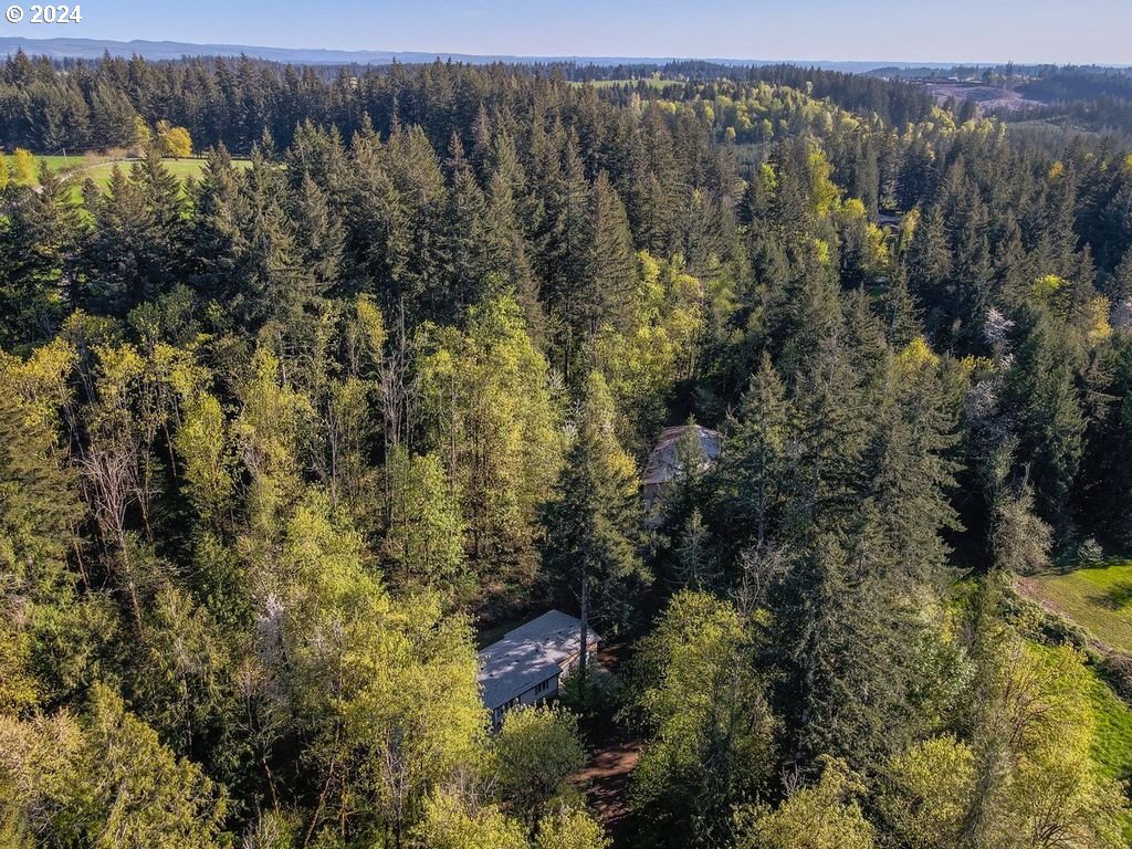 17290 South Burk Road Beavercreek, OR 97004 - Photo 39 of 45 Gallery Image 39