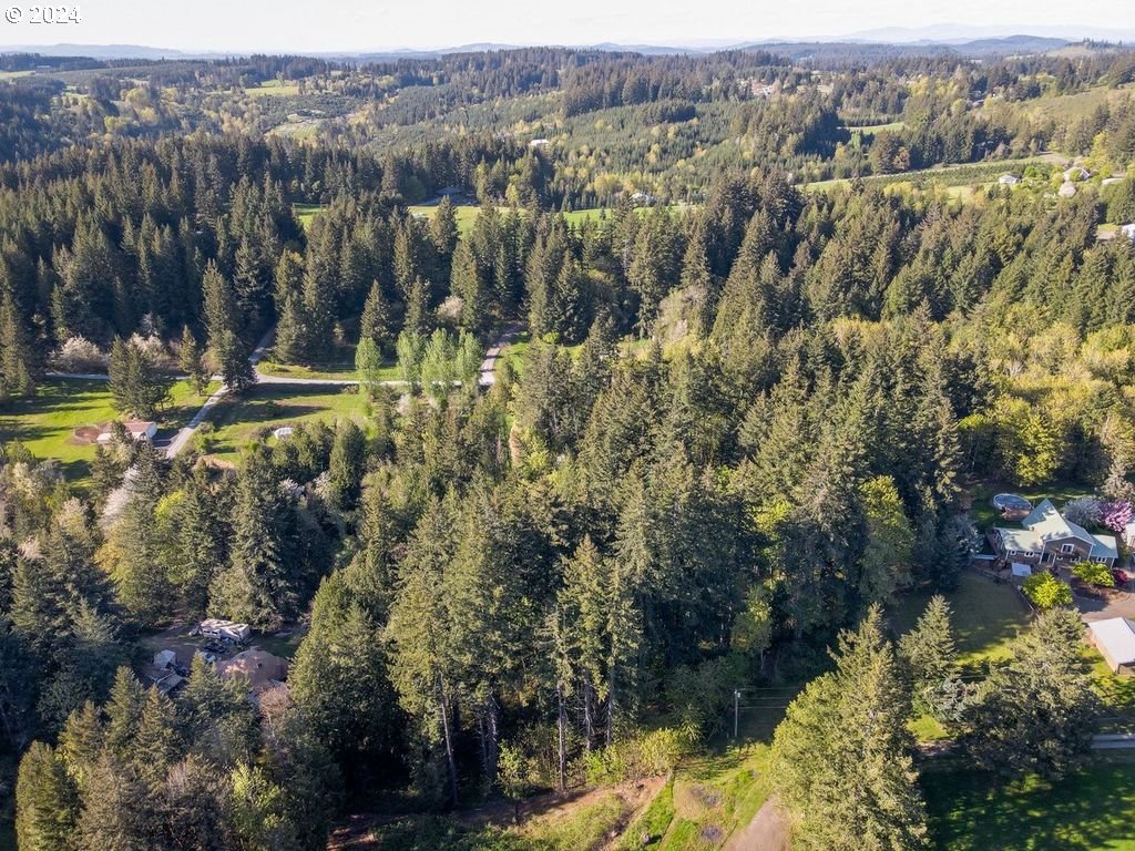 17290 South Burk Road Beavercreek, OR 97004 - Photo 41 of 45 Gallery Image 41