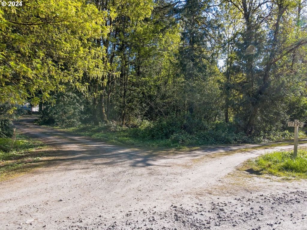 17290 South Burk Road Beavercreek, OR 97004 - Photo 42 of 45 Driveway