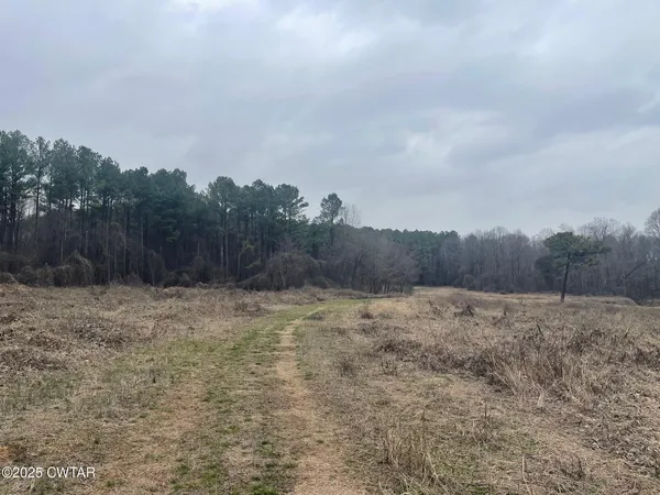 a view of dirt yard and mountain