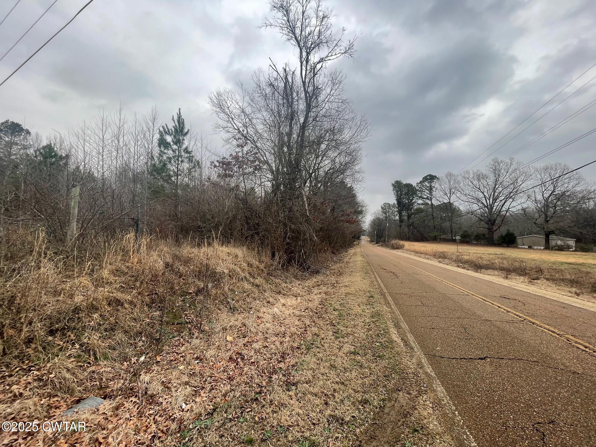 0 Hwy 70 & Browns Church Road Jackson, TN 38305 - Photo 2 of 23 a view of a yard with large trees