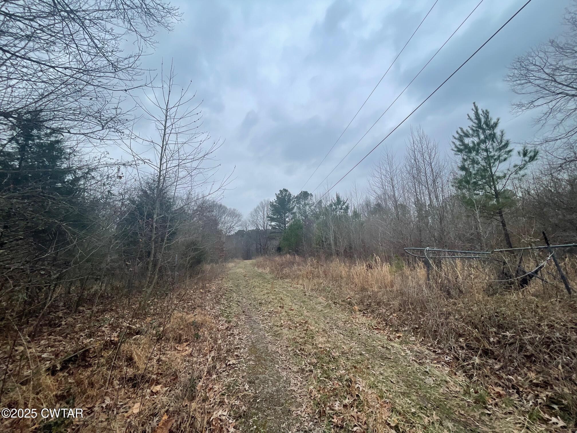 0 Hwy 70 & Browns Church Road Jackson, TN 38305 - Photo 3 of 23 a view of back yard