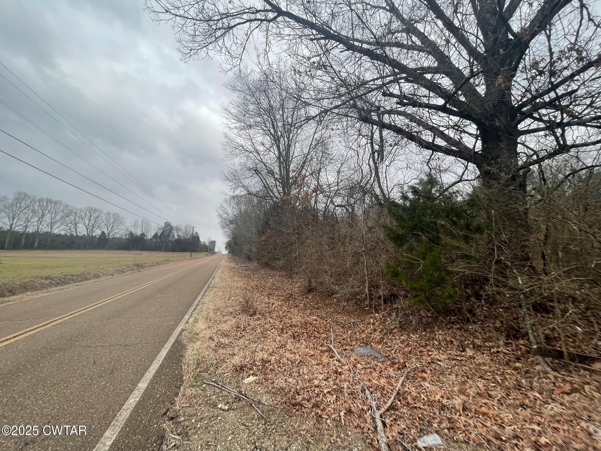 0 Hwy 70 & Browns Church Road Jackson, TN 38305 - Photo 4 of 23 a view of a dry yard with wooden fence