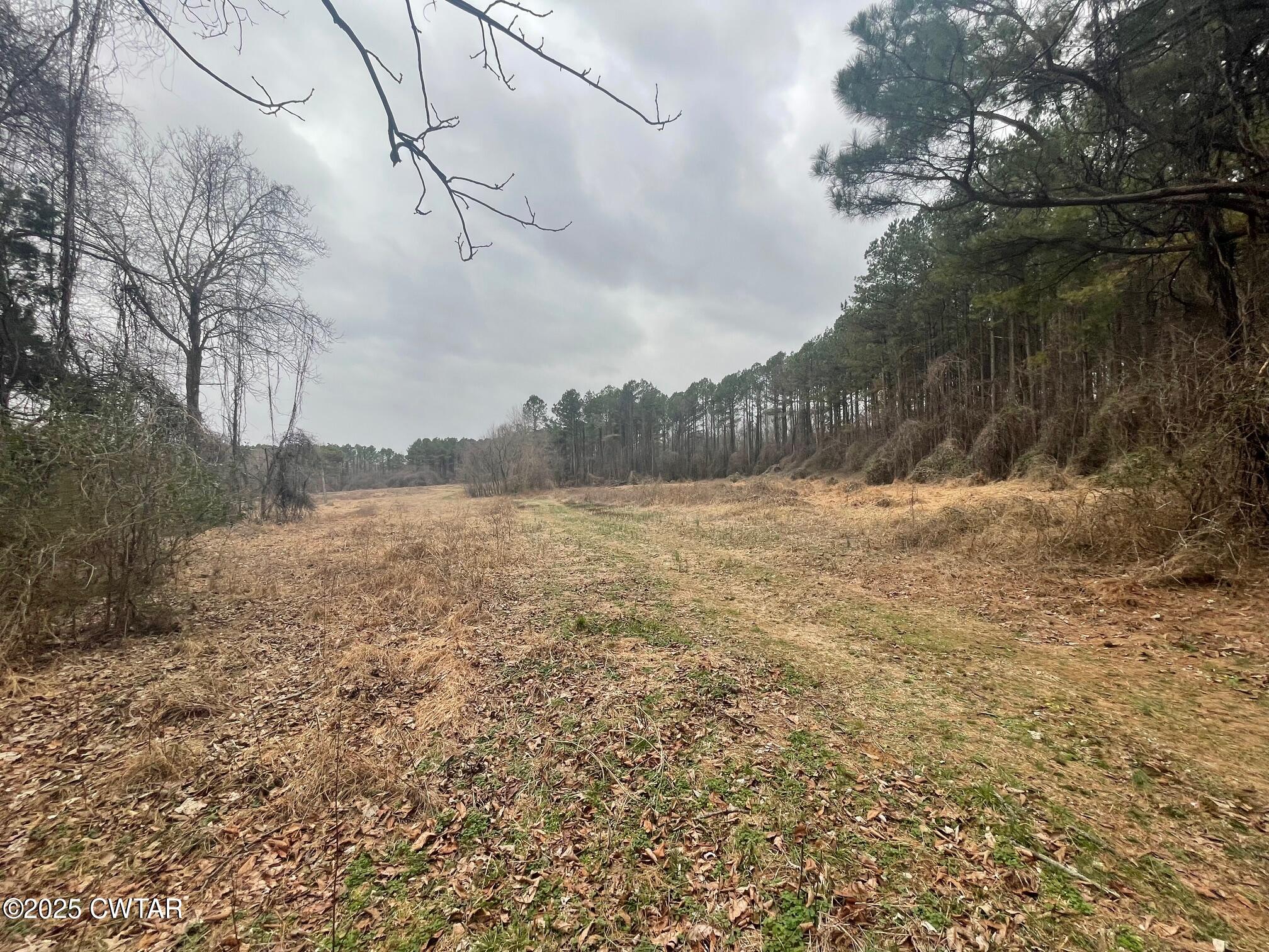 0 Hwy 70 & Browns Church Road Jackson, TN 38305 - Photo 5 of 23 a view of a lake view