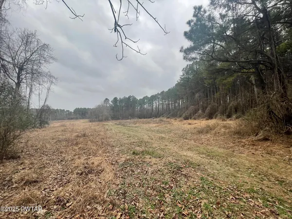 a view of a yard next to a yard