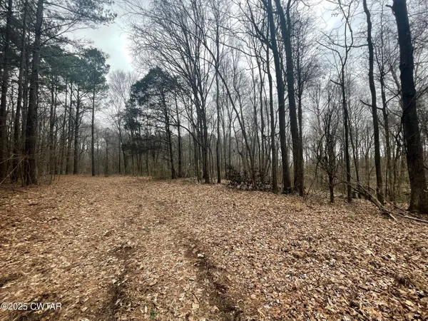 a backyard of a house with large trees