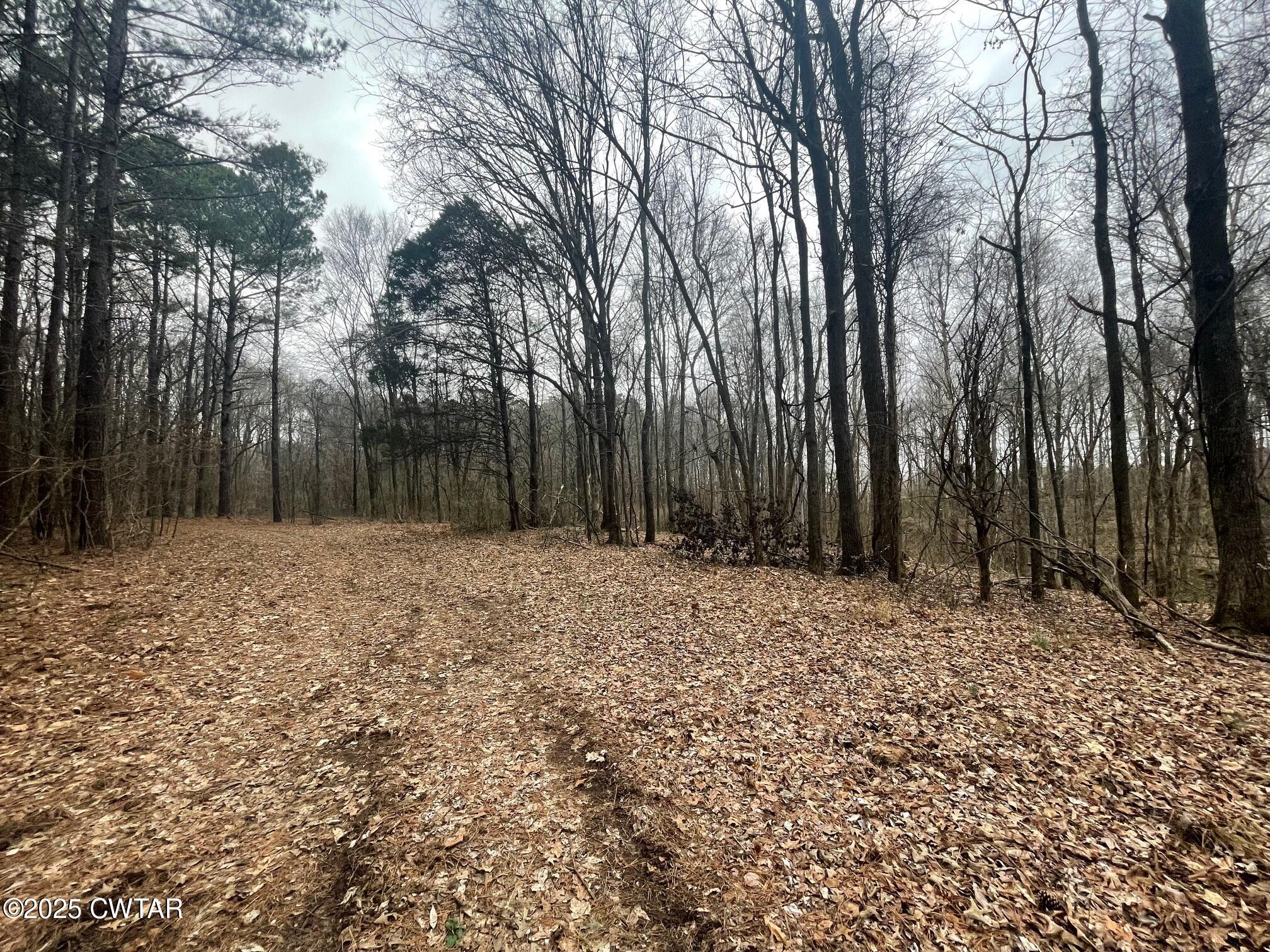 0 Hwy 70 & Browns Church Road Jackson, TN 38305 - Photo 8 of 23 a backyard of a house with large trees