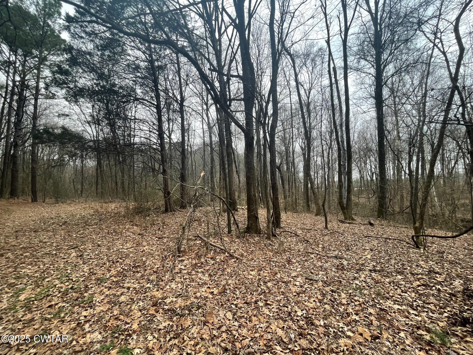 0 Hwy 70 & Browns Church Road Jackson, TN 38305 - Photo 9 of 23 a backyard of a house with lots of green space