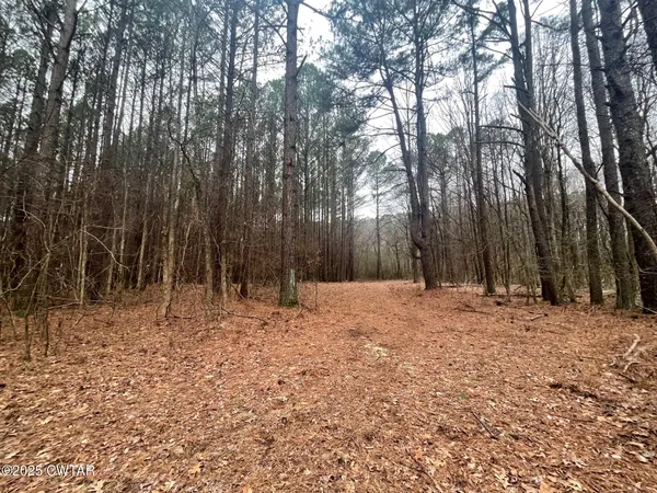 a fire hydrant in the middle of a field