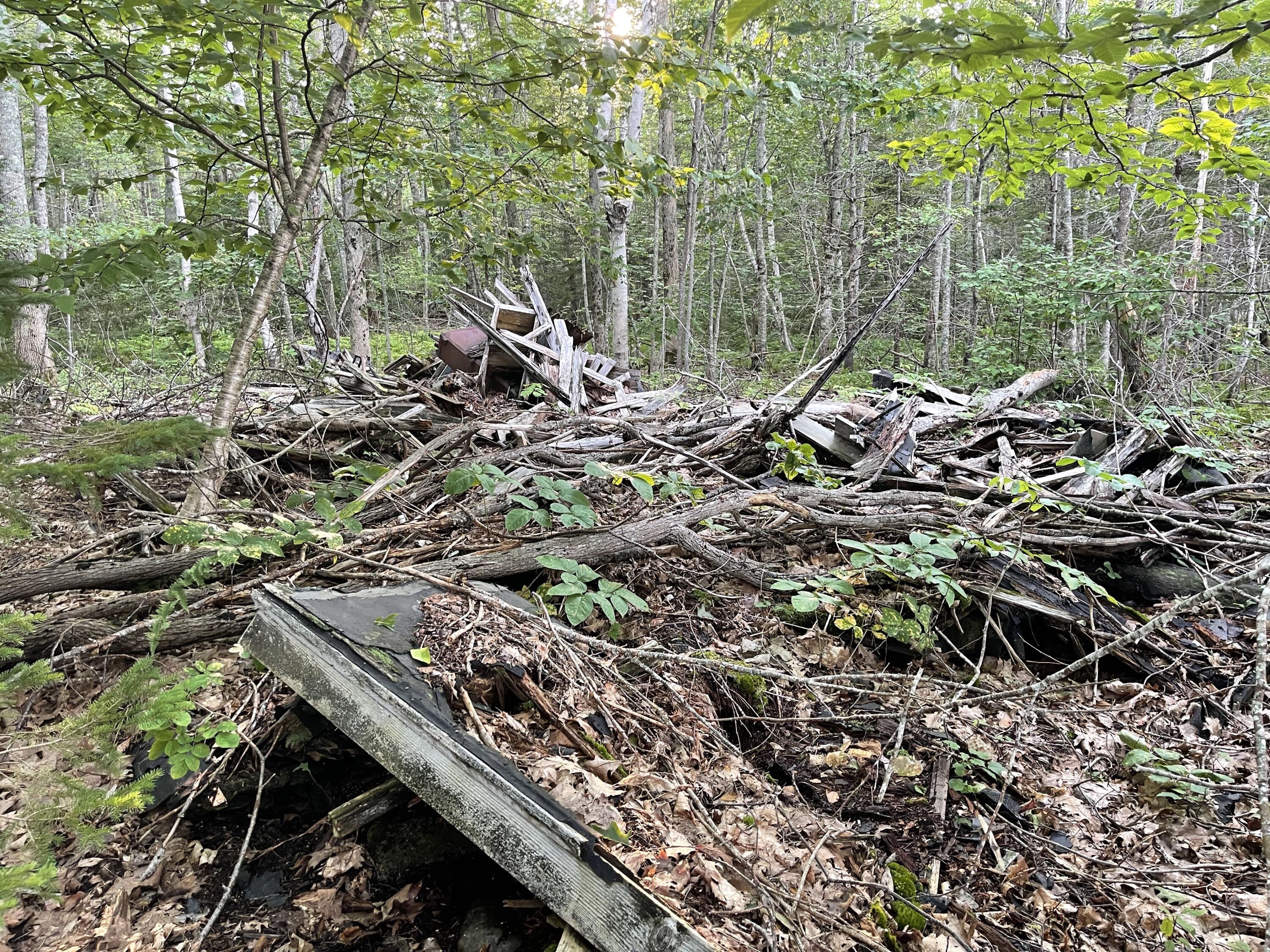 0 Ridge Road Robbinston, ME 04671 - Photo 18 of 35 IMG_7660 2