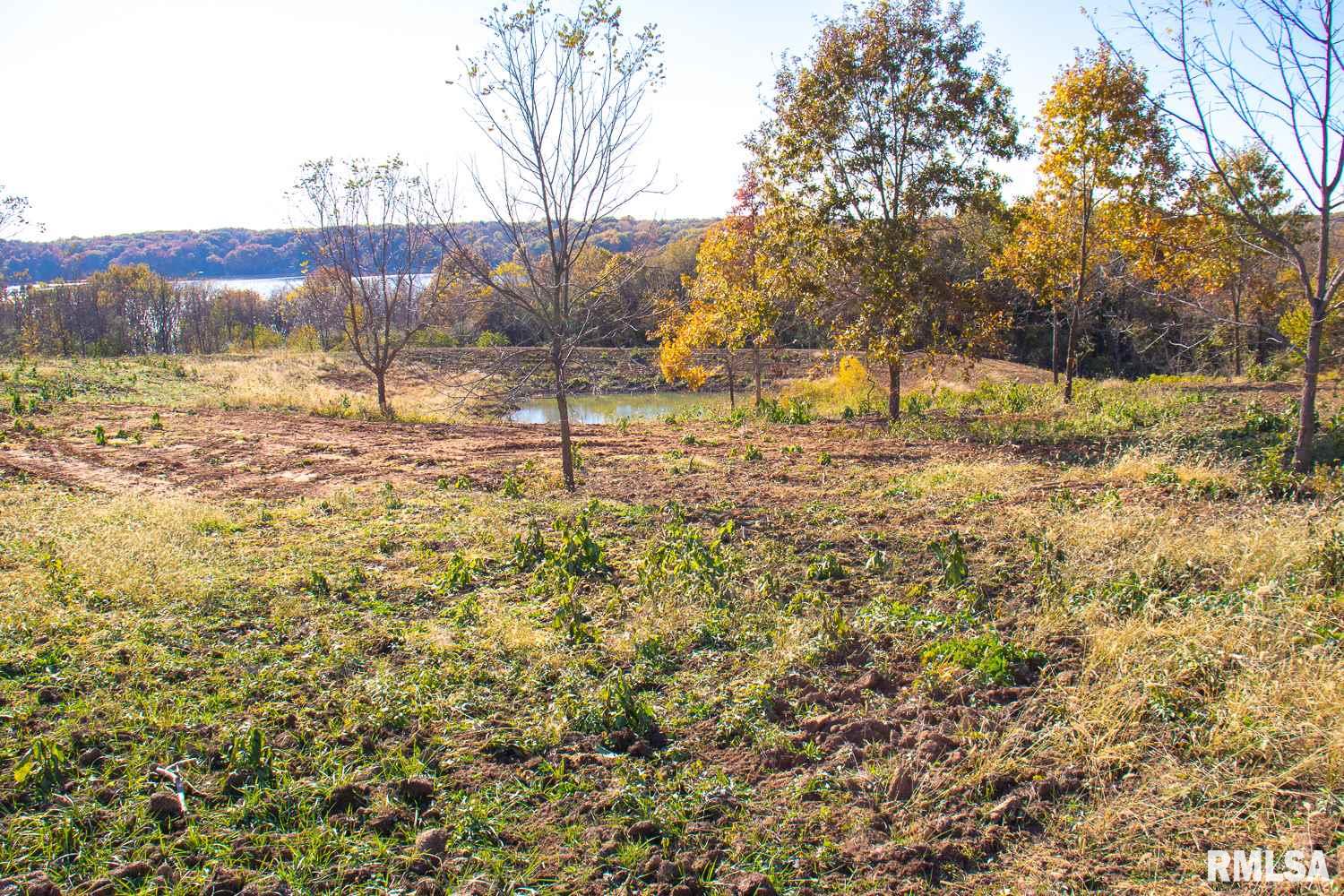 697 None Trail Butler, IL 62015 - Photo 13 of 26 Gallery Image 13