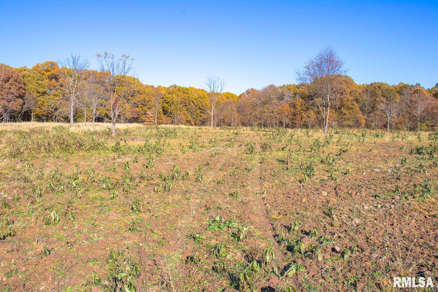697 None Trail Butler, IL 62015 - Photo 14 of 26 Gallery Image 14