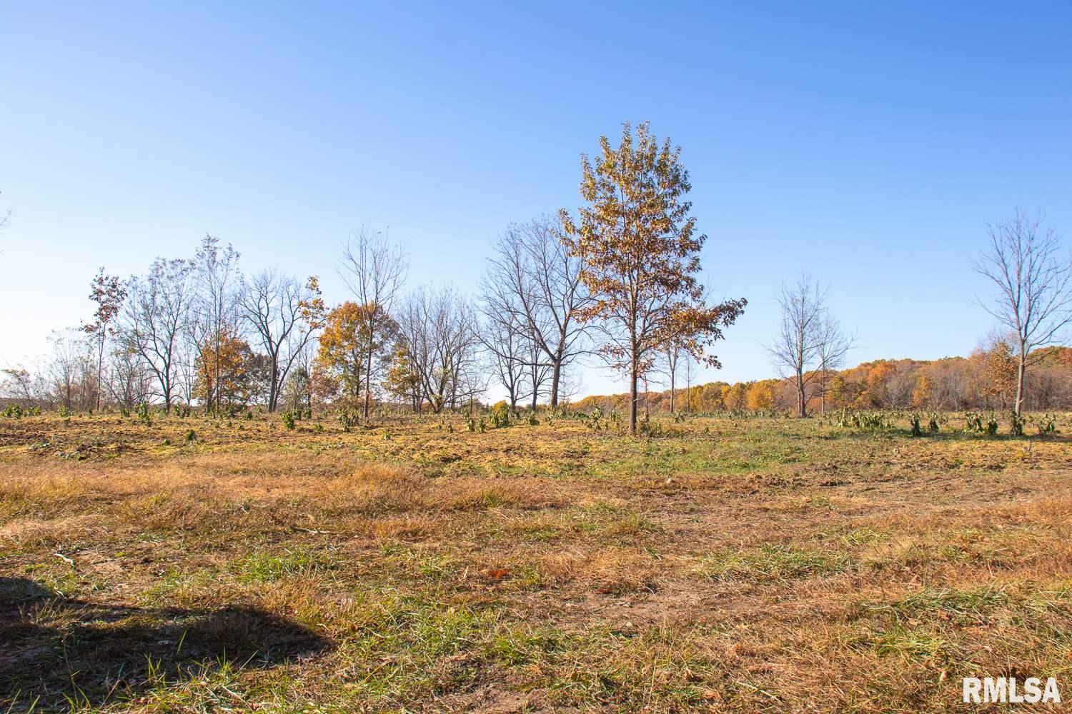 697 None Trail Butler, IL 62015 - Photo 15 of 26 Gallery Image 15