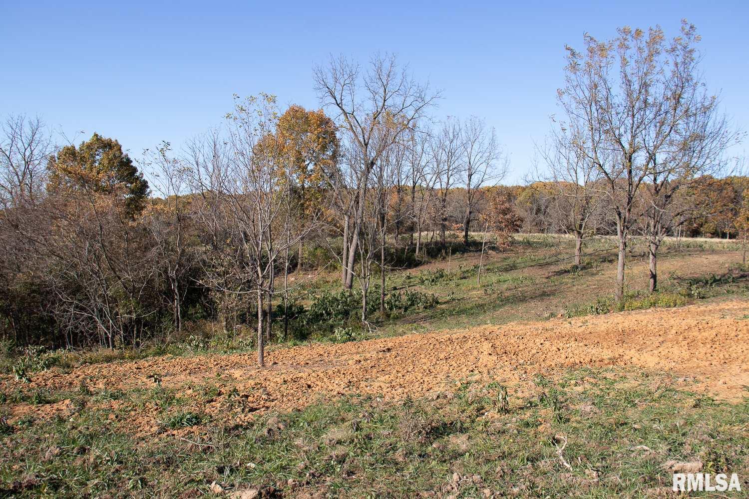 697 None Trail Butler, IL 62015 - Photo 17 of 26 Gallery Image 17