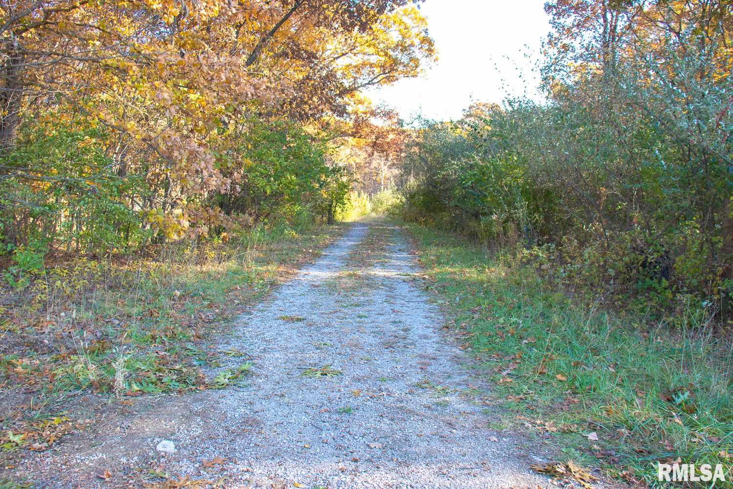 697 None Trail Butler, IL 62015 - Photo 18 of 26 Gallery Image 18