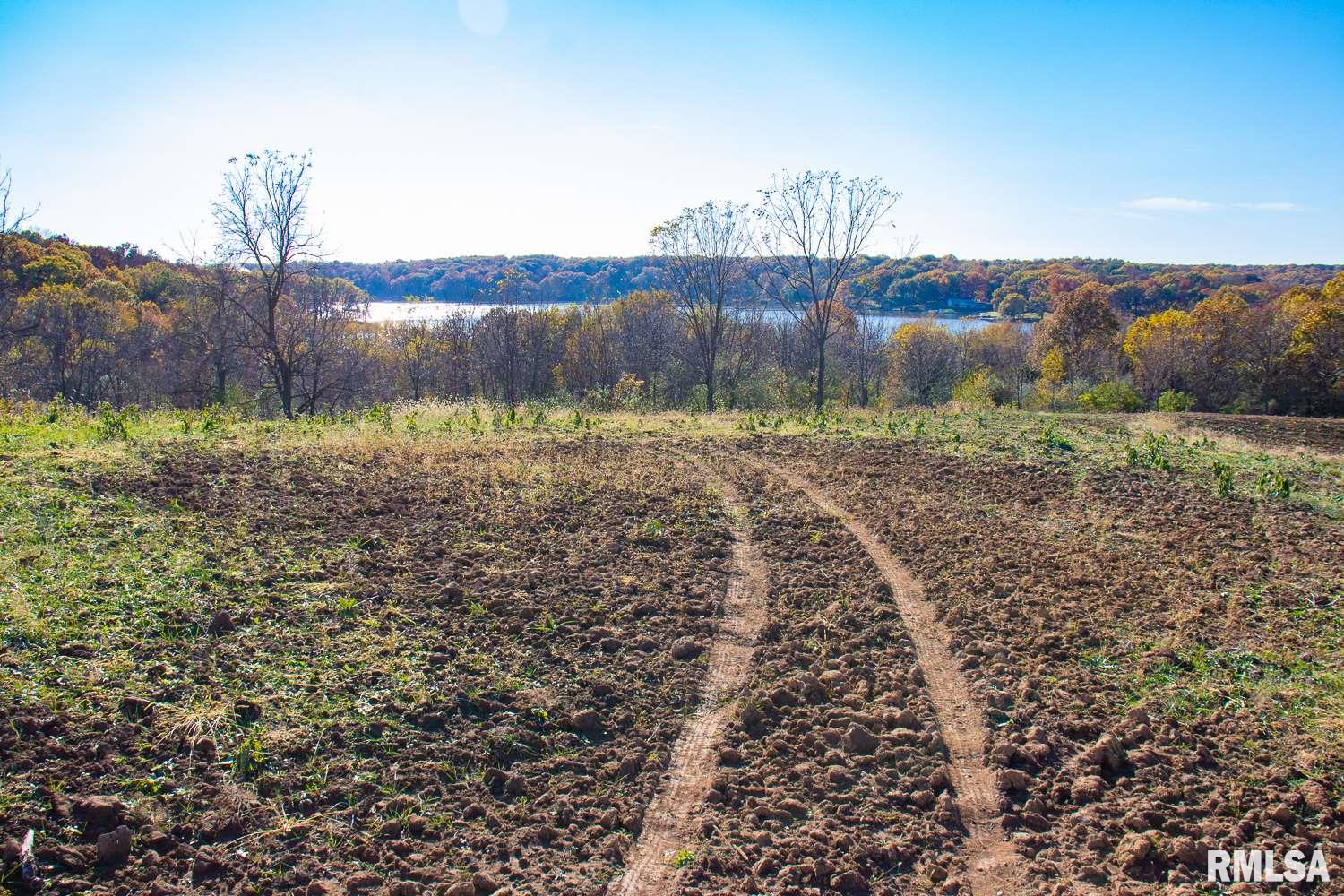697 None Trail Butler, IL 62015 - Photo 20 of 26 Gallery Image 20