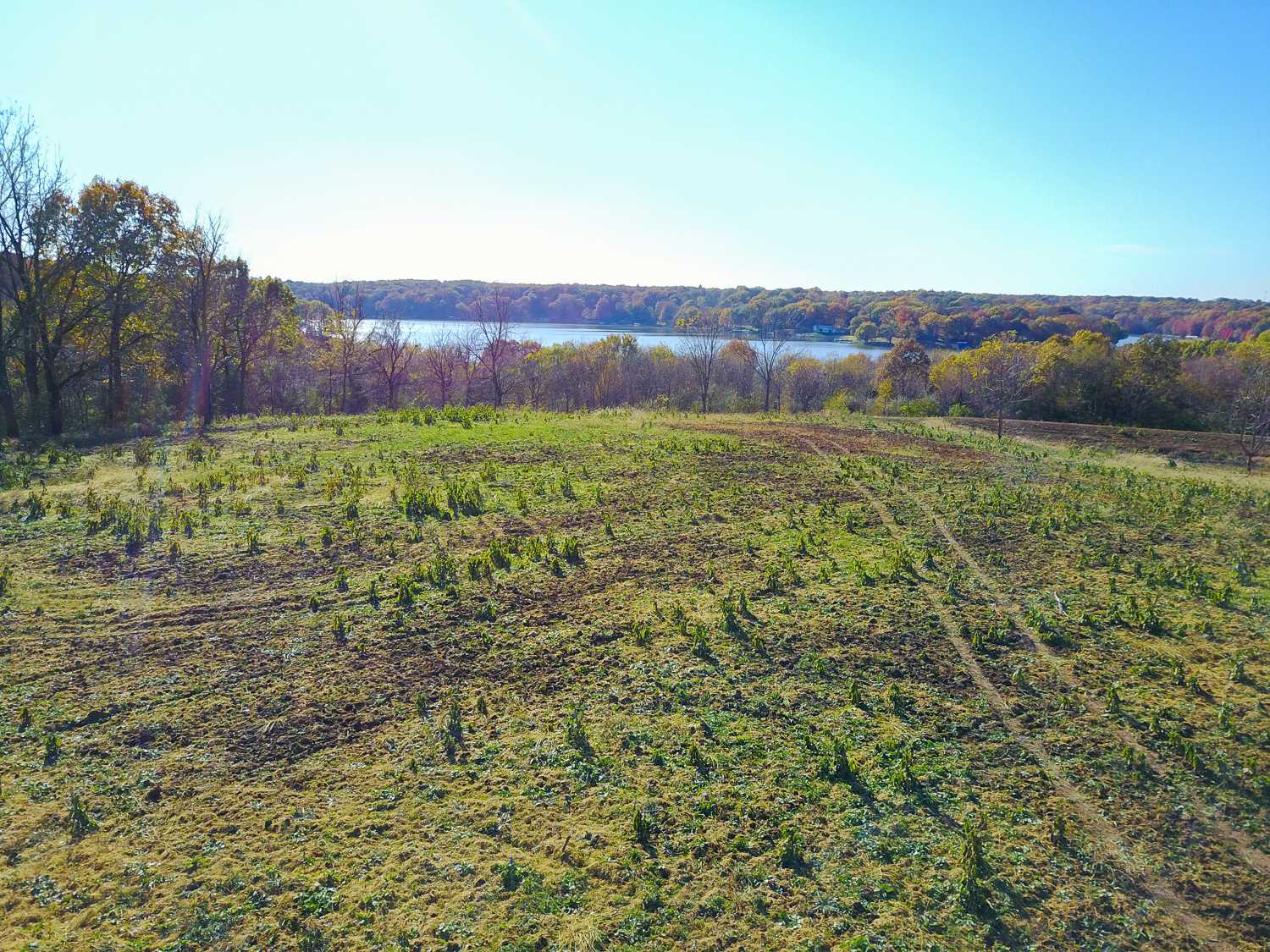 697 None Trail Butler, IL 62015 - Photo 25 of 26 Gallery Image 25