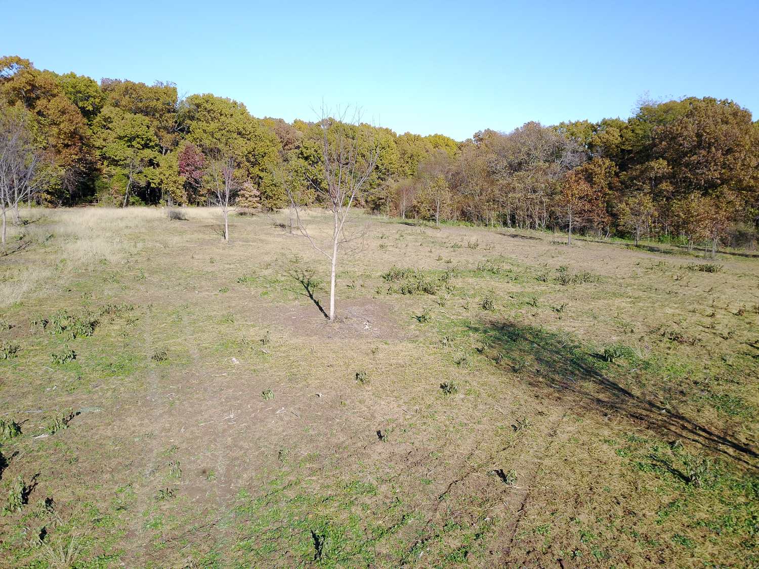 697 None Trail Butler, IL 62015 - Photo 26 of 26 Gallery Image 26
