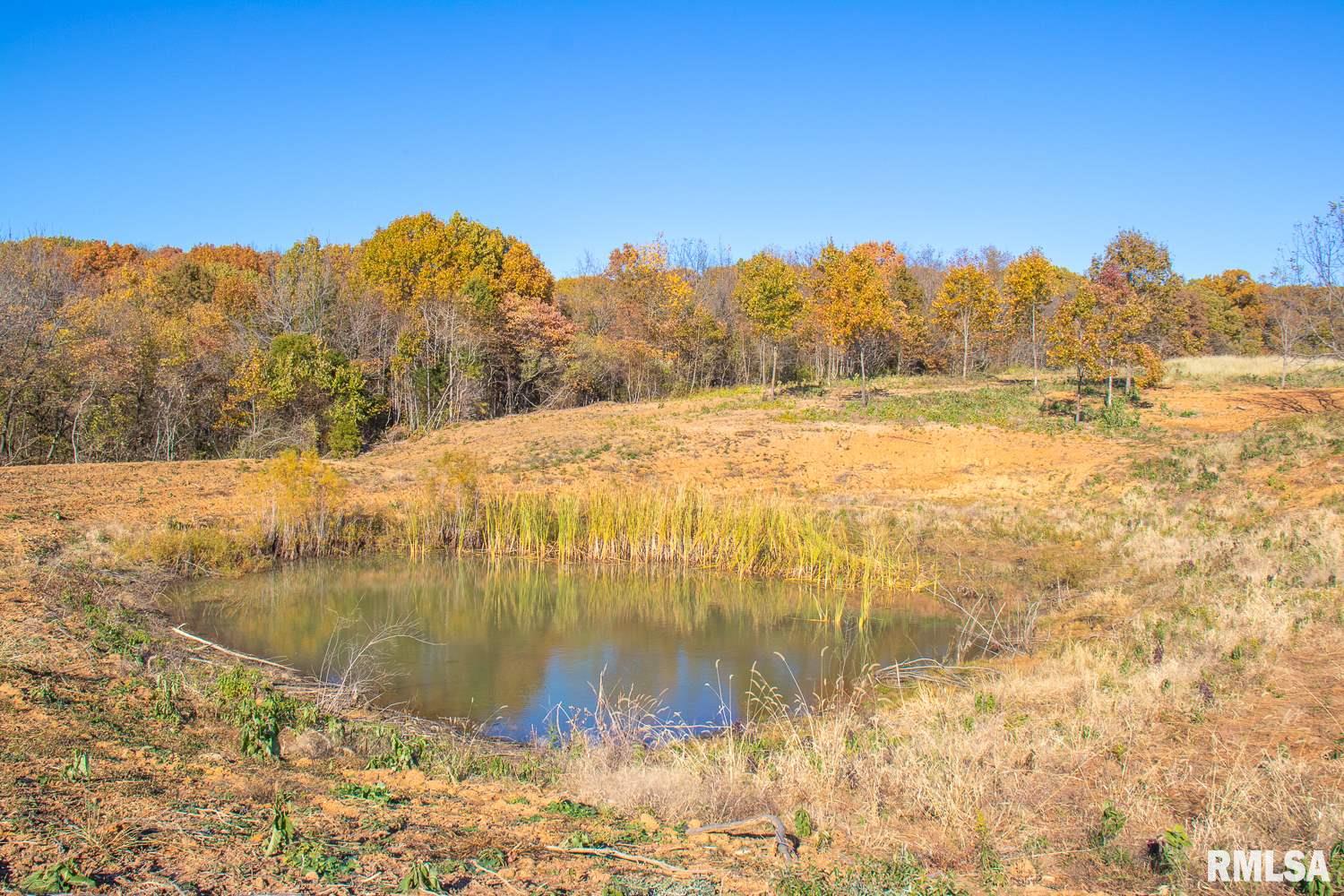 697 None Trail Butler, IL 62015 - Photo 7 of 26 Gallery Image 7