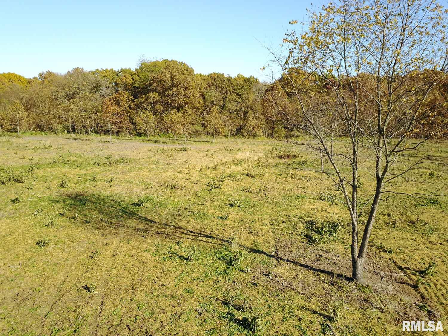 697 None Trail Butler, IL 62015 - Photo 8 of 26 Gallery Image 8