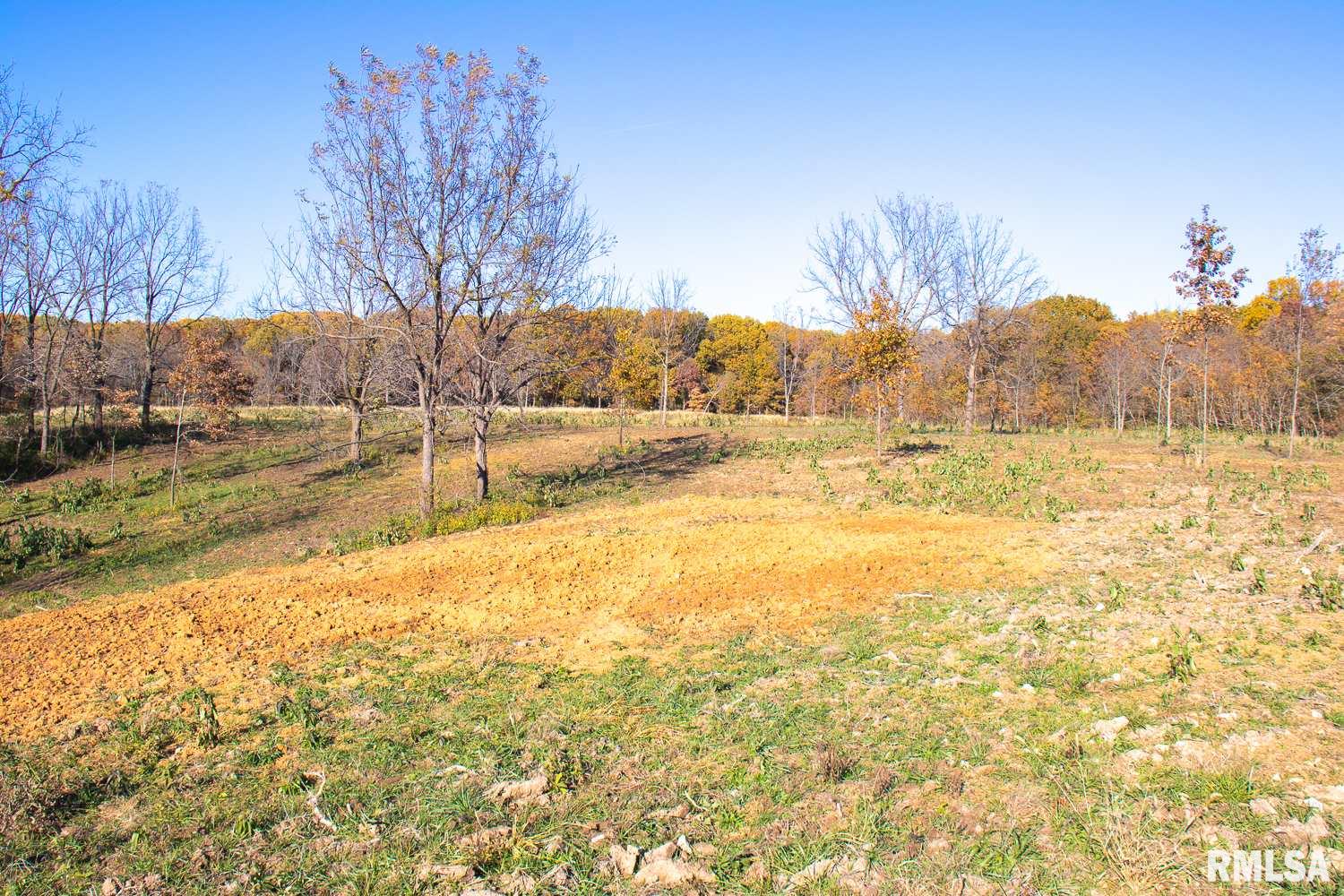 697 None Trail Butler, IL 62015 - Photo 10 of 26 Gallery Image 10