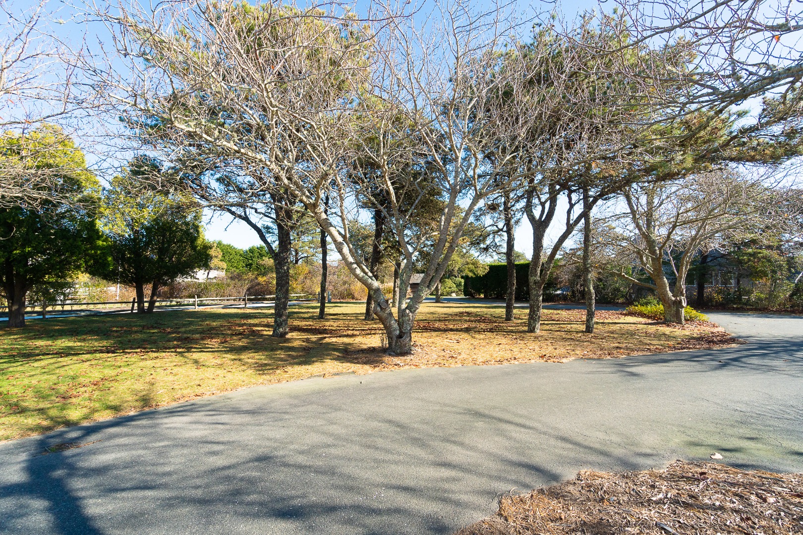 35 Pine Crest Drive Nantucket, MA 02554 - Photo 36 of 44 a view of yard with trees