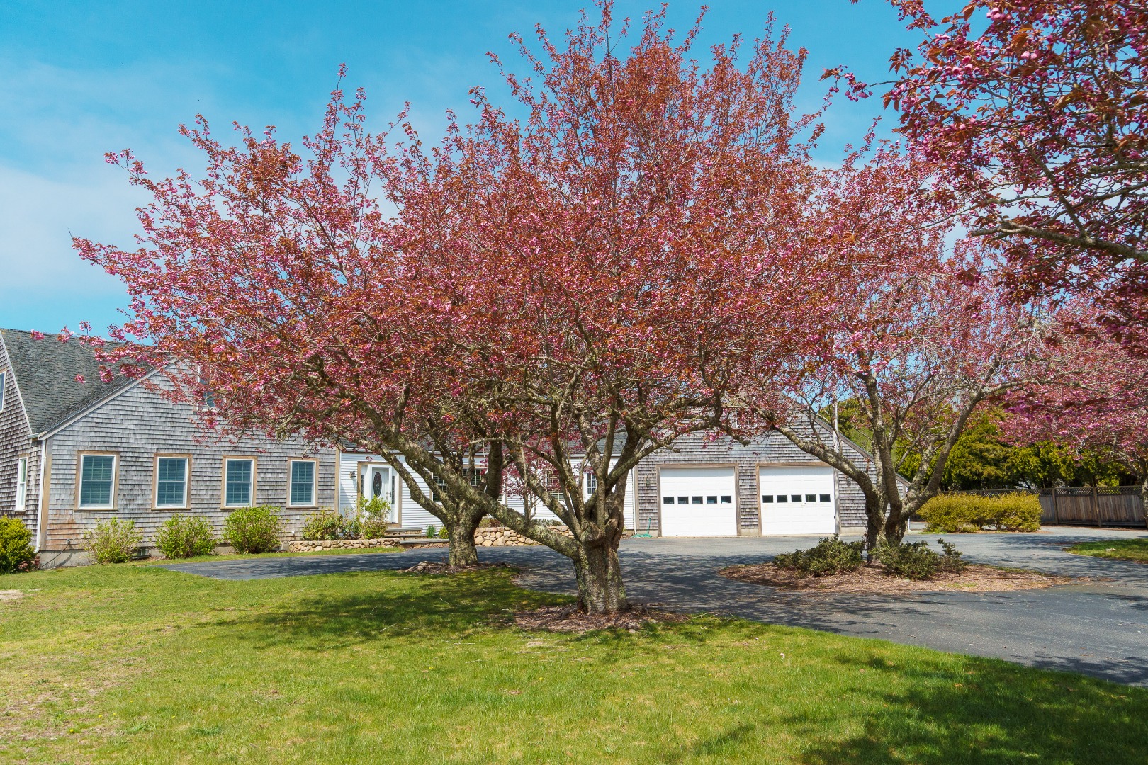 35 Pine Crest Drive Nantucket, MA 02554 - Photo 41 of 44 a front view of a house with a garden and tree