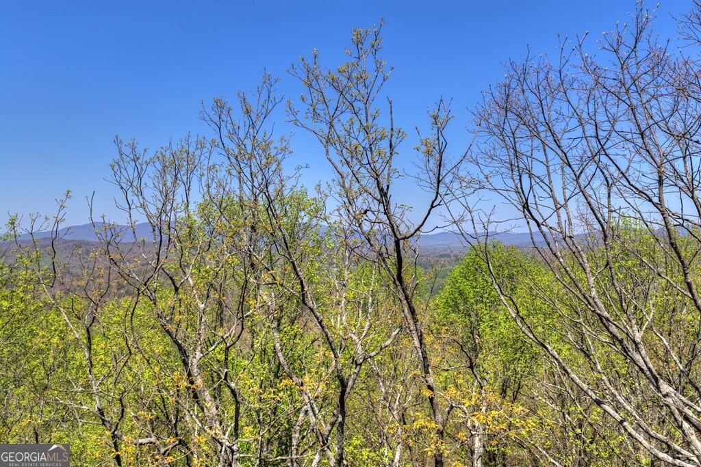 1073 Old Burnt Mountain Road Ellijay, GA 30536 - Photo 18 of 20