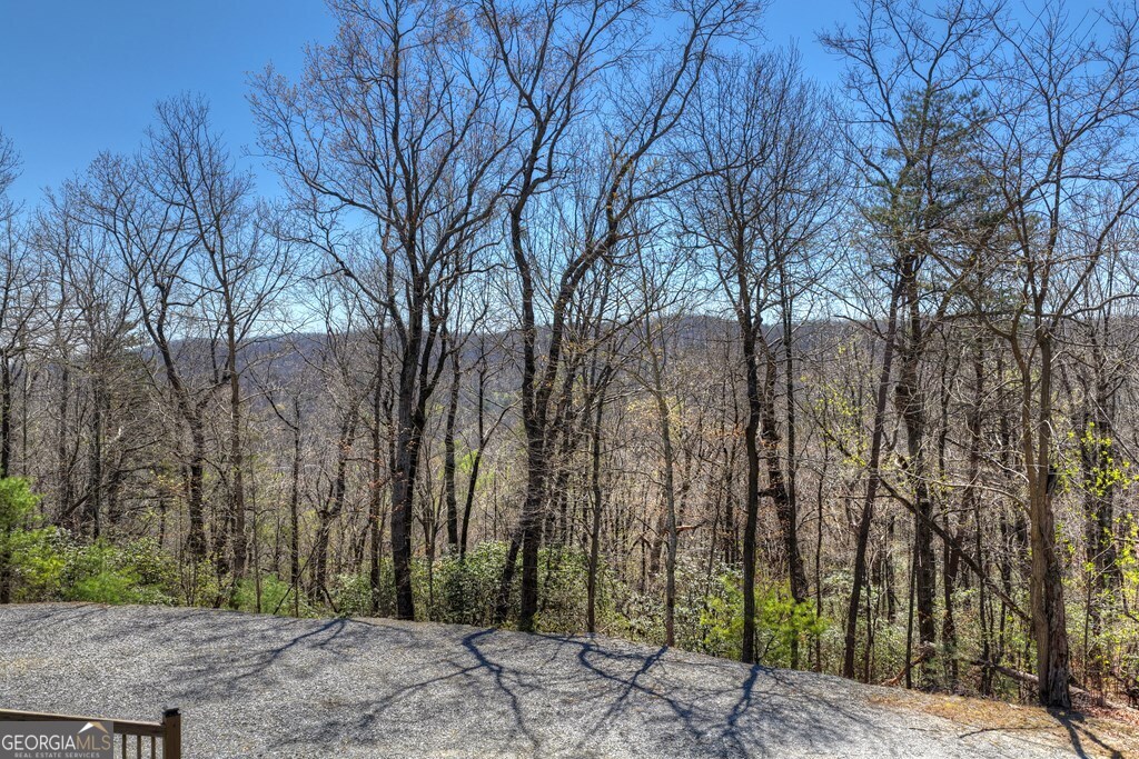 1073 Old Burnt Mountain Road Ellijay, GA 30536 - Photo 19 of 20