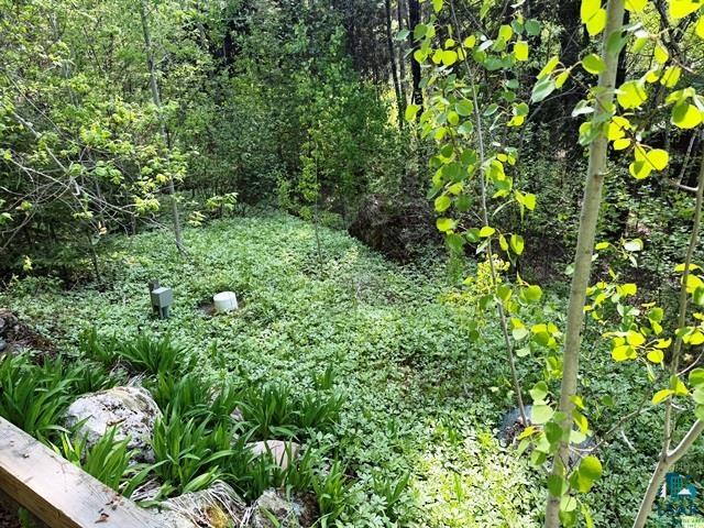 14649 Canadian Border Road Ely, MN 55731 - Photo 13 of 16 Septic
