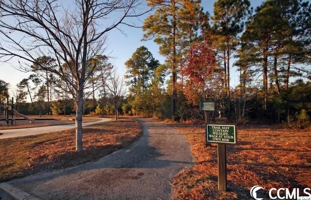 769 Greta Loop Myrtle Beach, SC 29579 - Photo 18 of 19 Gallery Image 18