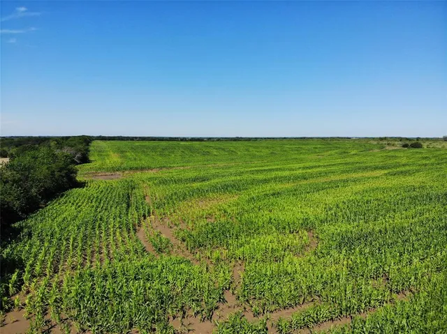 a view of yard with green space