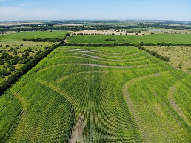 a view of a green field
