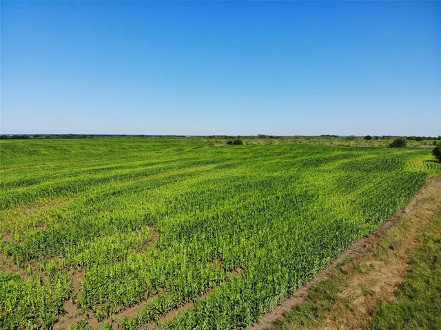 a view of yard with swimming pool