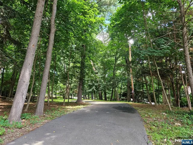 a view of a park with plants and trees