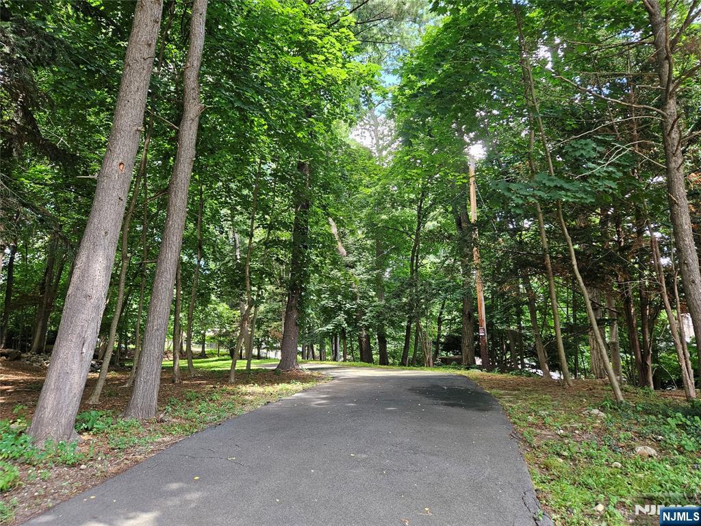 a view of a park with plants and trees