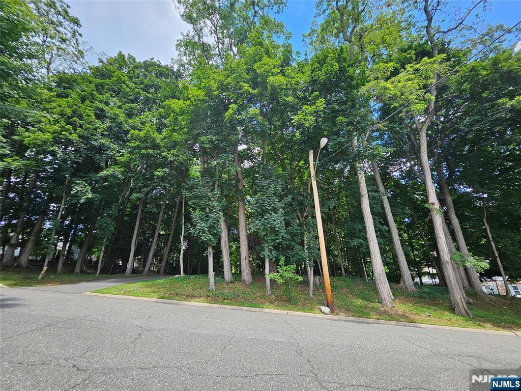 18 Locust Road Glen Rock, NJ 07452 - Photo 2 of 2 a view of backyard with trampoline