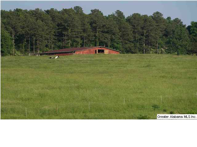 465 Jones Chapel Loop Springville, AL 35146 - Photo 23 of 28