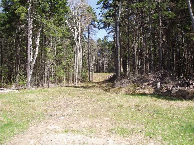 140 S Road Chebeague Island, ME 04017 - Photo 5 of 15 Photo