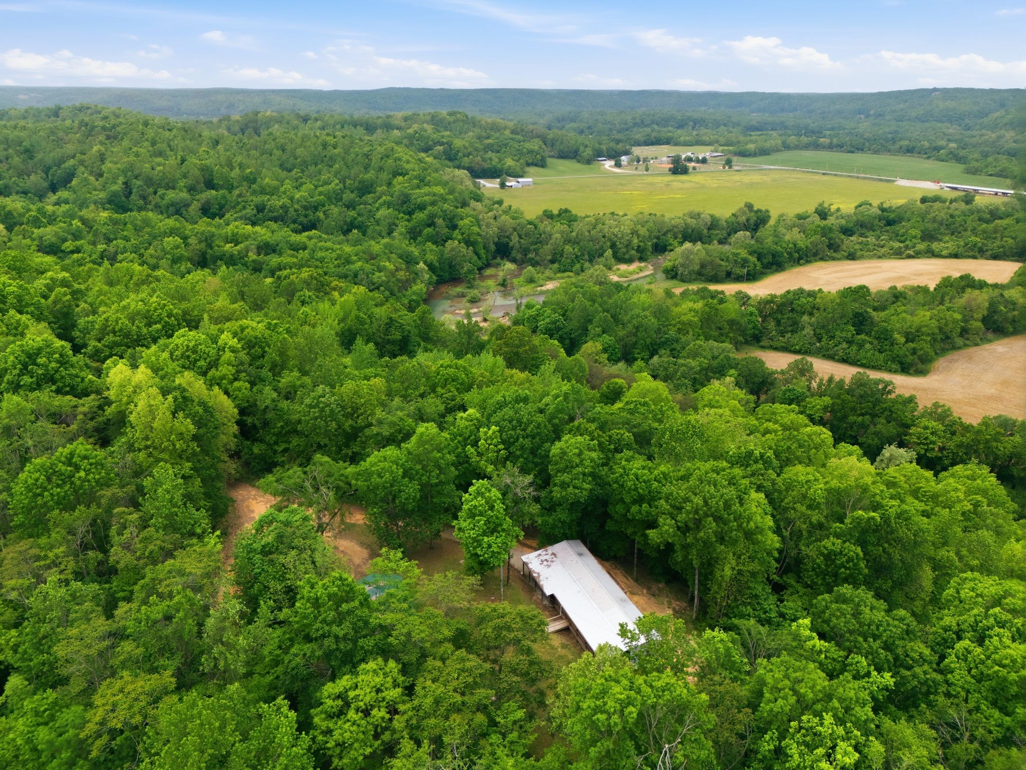 309 River Bluff Road Linden, TN 37096 - Photo 53 of 55