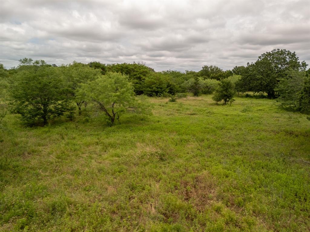 8 County Road 178 Riesel, TX 76682 - Photo 11 of 36 View of local wilderness with rural landscape
